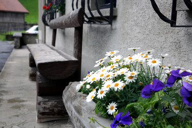 Similar image 199073