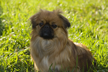 Similar image 199098