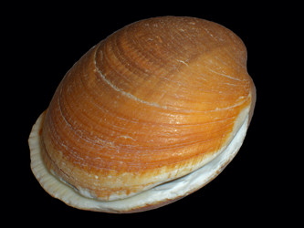 Similar image 199137