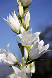 Similar image 199141