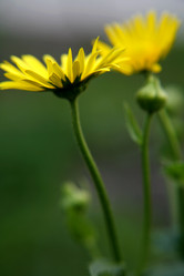 Similar image 199147