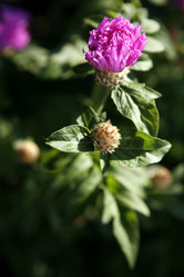 Similar image 199151