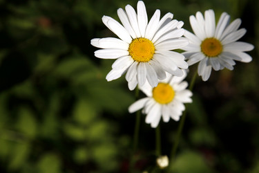 Similar image 199152