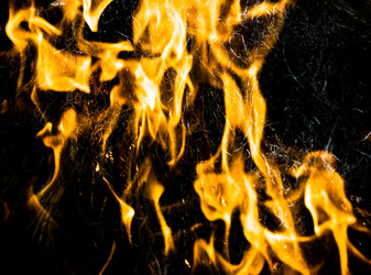 Similar image 199210