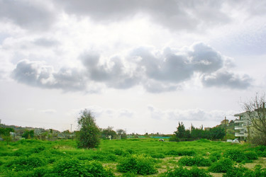 Similar image 199216