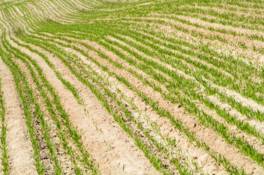 Similar image 199220