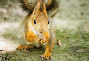 Similar image 199223