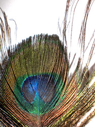 Similar image 199290