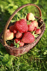 Similar image 199319