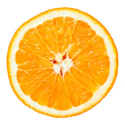 Similar image 199350