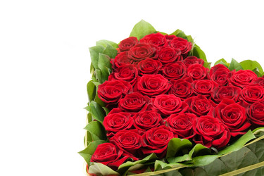 Similar image 199354