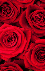 Similar image 199367