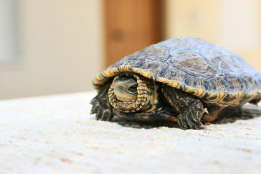 Similar image 199389