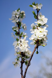 Similar image 199444