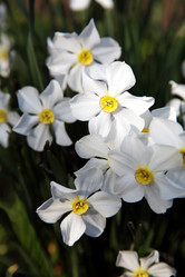 Similar image 199449