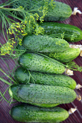 Similar image 199546