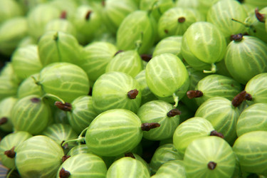 Similar image 199548