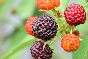 Similar image 199549