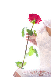 Similar image 199551