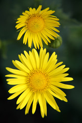 Similar image 199592