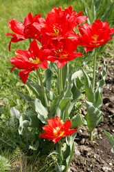 Similar image 199593