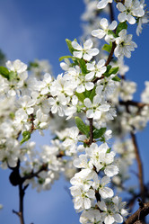 Similar image 199595