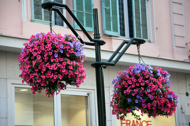 Similar image 199601