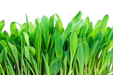 Similar image 199609