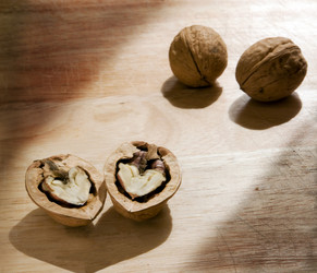 Similar image 199642