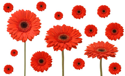 Similar image 199661