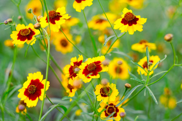 Similar image 199672