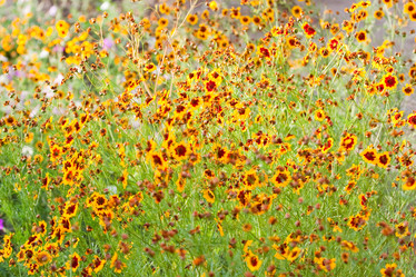 Similar image 199673