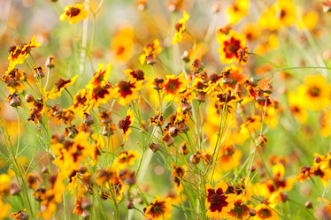 Similar image 199674