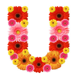 Similar image 199709