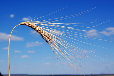 Similar image 199754