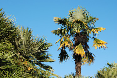 Similar image 199758