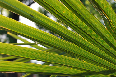 Similar image 199777