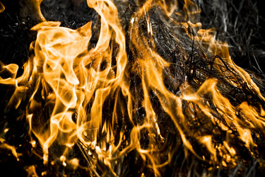 Similar image 199780