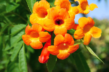 Similar image 199791