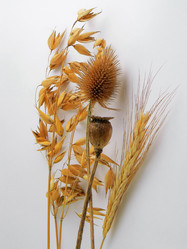 Similar image 199794