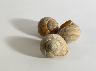 Similar image 199795