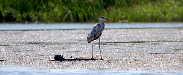 Similar image 199805