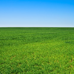 Similar image 199813