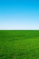 Similar image 199814