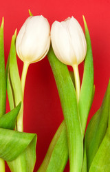 Similar image 199825