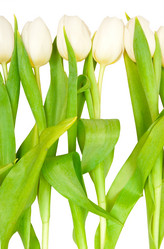 Similar image 199826