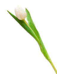 Similar image 199828