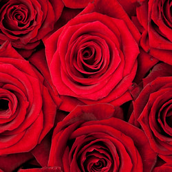 Similar image 199829