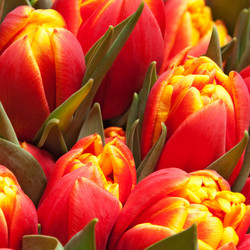 Similar image 199830