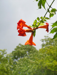 Similar image 199903